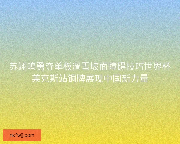 苏翊鸣勇夺单板滑雪坡面障碍技巧世界杯莱克斯站铜牌展现中国新力量